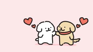 ⭐新手起号流程-前端拾荒者